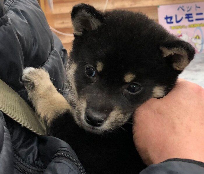 初対面したときの拓ちゃん