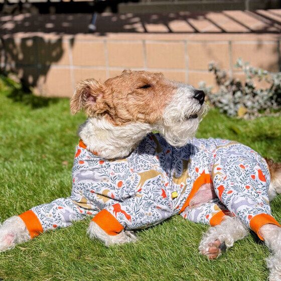 「クンクン」何のニオイがするのかな？ 