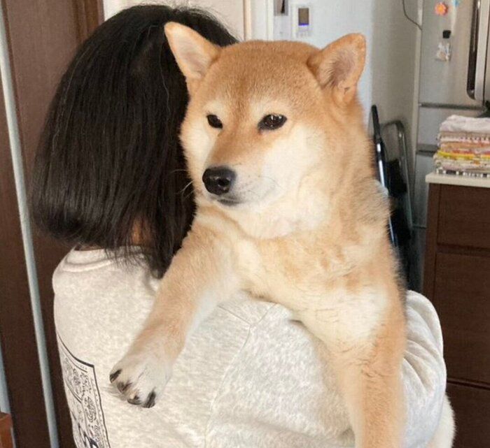 抱っこしてもらうもなかちゃん