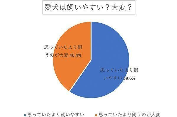 愛犬は飼いやすい? 大変?