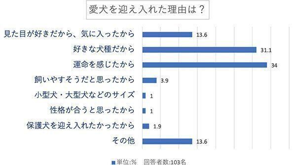 愛犬を迎え入れた理由は?