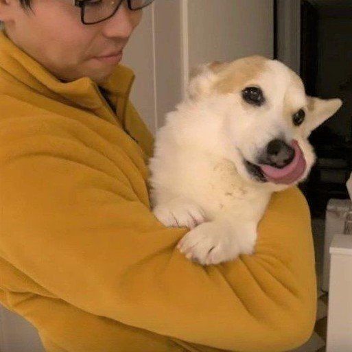 パパと犬