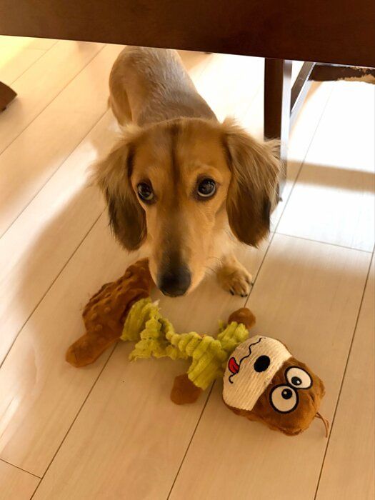 ��ͷ�ܤ��פȻ����礵���Ͷ�äƤ����ͻҤΥ��å����ե��