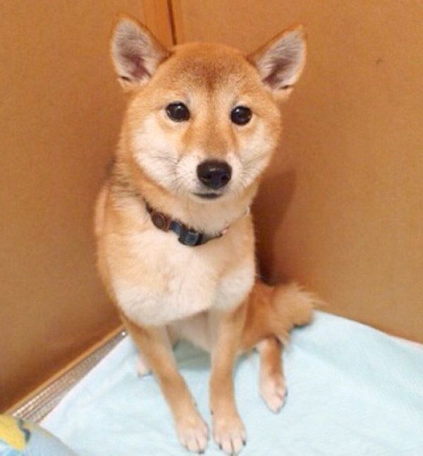 出会った頃のゆりあちゃん