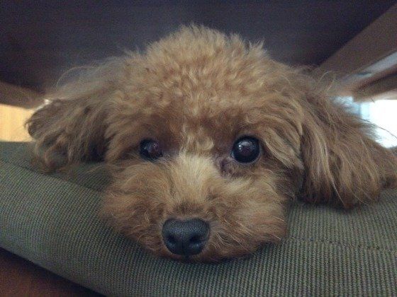 SUNNYちゃん