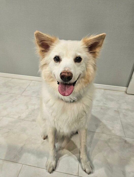 ��Ĺ����ͻҡ���������ϲ�²�Τ��Ȥ��繥���ʤΤ��Ȥ�