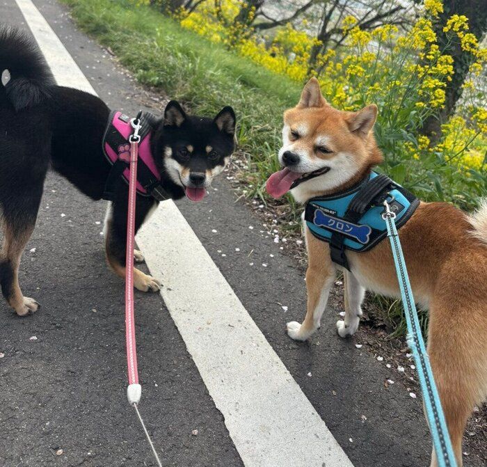 ����򤹤륭�������󡢥����󤯤�