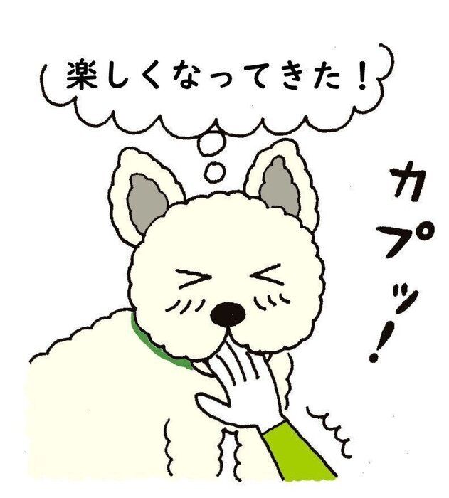 いぬのきもち チャンスイット