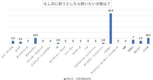 もし次に飼うとしたら飼いたい犬種は?