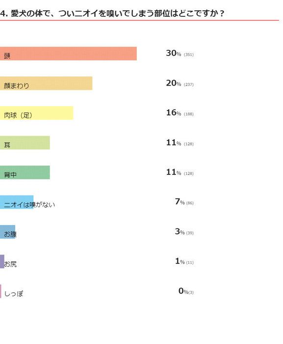 いぬのコト360度ミニ調査
