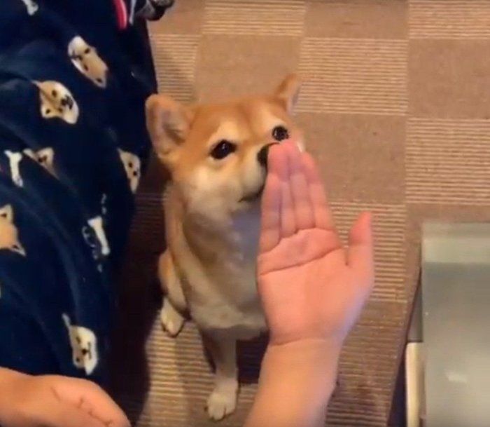 口づけ
