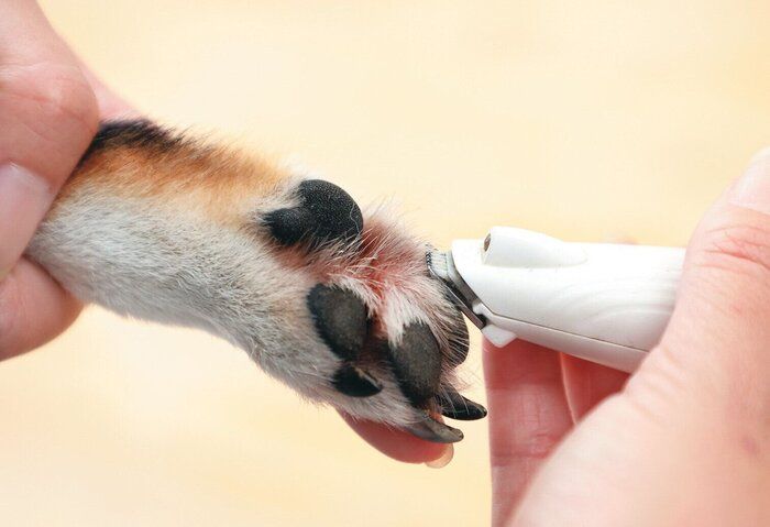 バリカンの動かし方