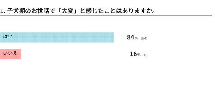 子犬期のお世話で「大変」と感じたことはありますか?