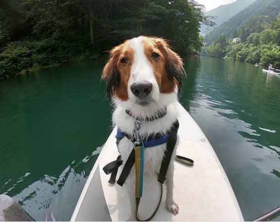 SUP