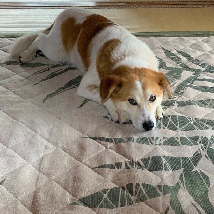 ���ξ��������ॵ������