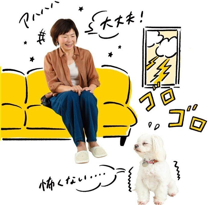 愛犬が怖がっているときは、ポジティブな声がけを心がけましょう