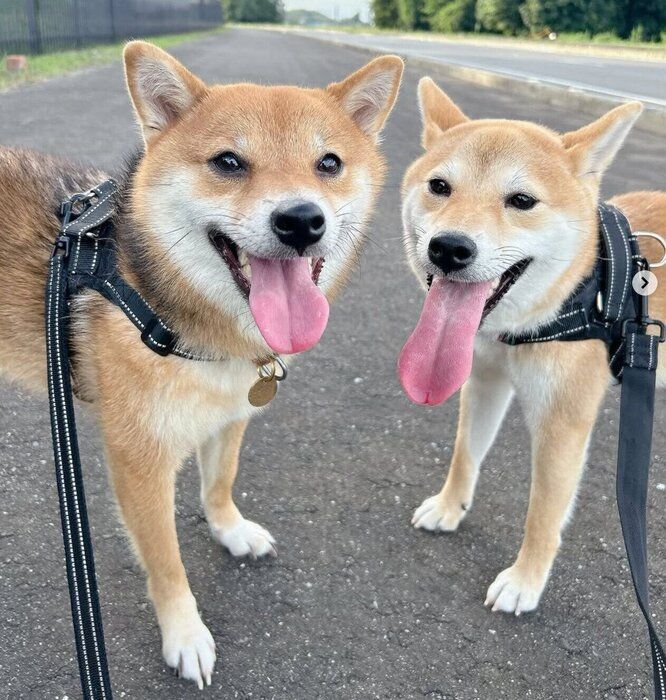 򤹤뤳ޤ󡢤Ϥʤ