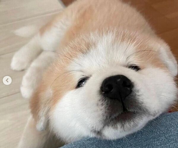 5r7pjjyhpk02pm 5r7pjjyhpk02pm