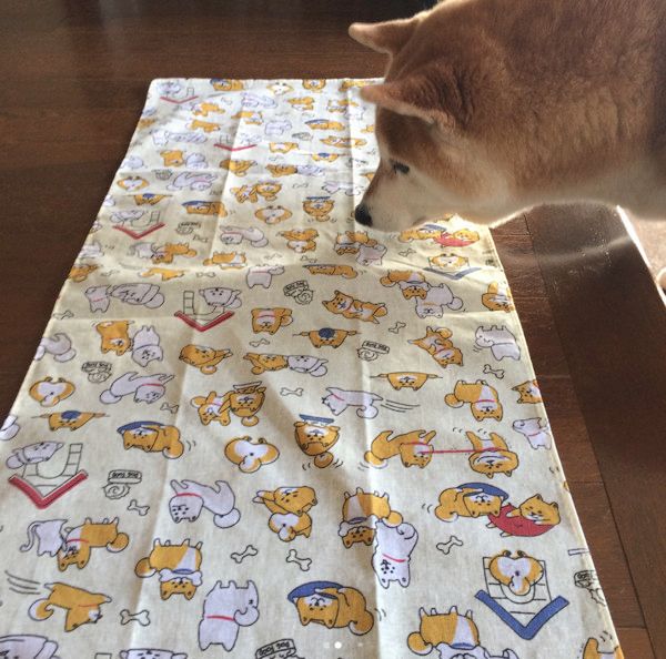 ダイソーのワンコグッズ
