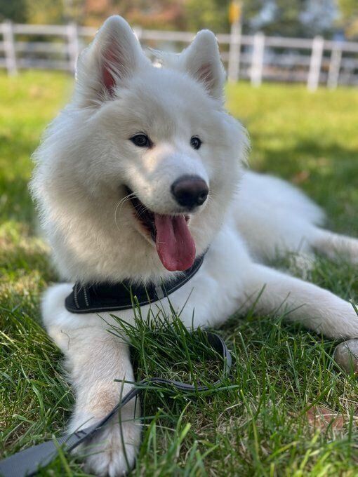 ������Υ��⥨��