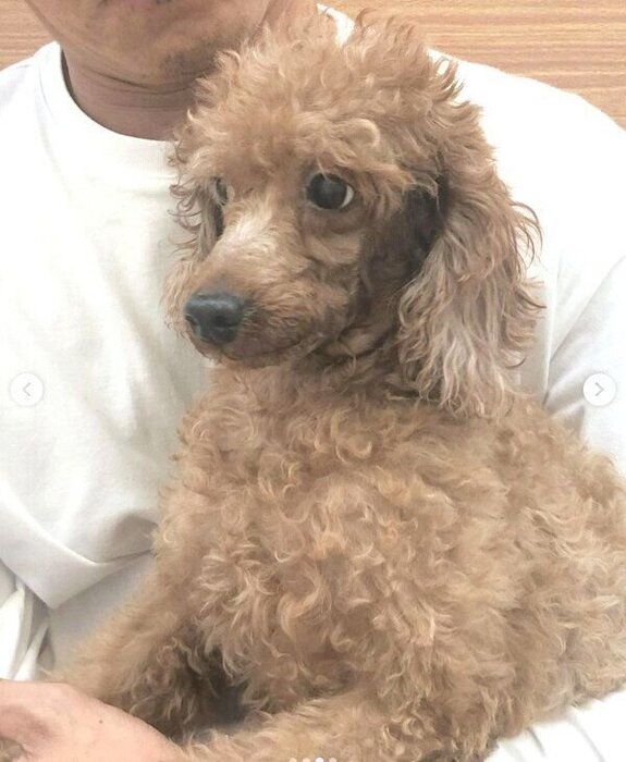 初めて抱き上げたときにこわばった表情を見せるぐらちゃん