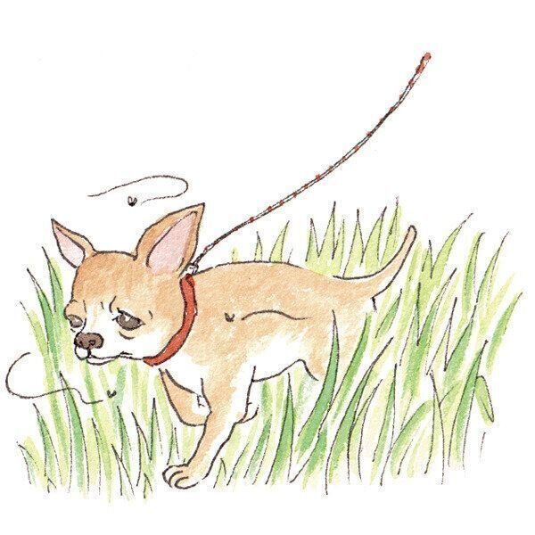 イラスト/フジマツミキ