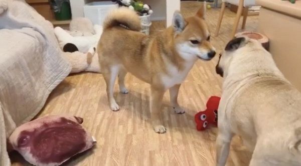 アキちゃんに思いを伝えるラルくん