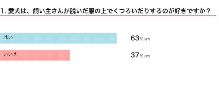 愛犬は、飼い主さんが脱いだ服の上でくつろいだりするのが好き?