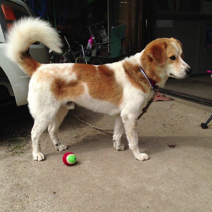 �ϡ��Ȥ����ͤ���Ω���ʤ��ä����Υॵ������