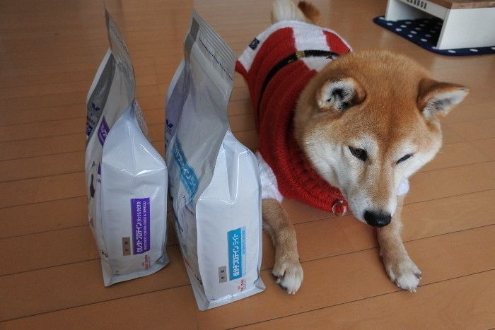 (´・ω・`)