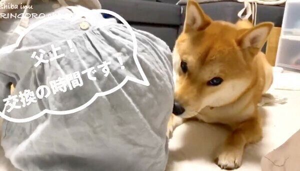 妹ちゃんの「おむつ交換のタイミング」を知らせるりんご郎くん