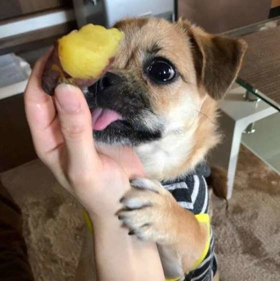 ミックス