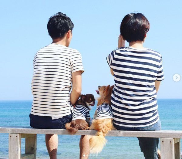 シンプルでナチュラルな犬服:キミノフク。