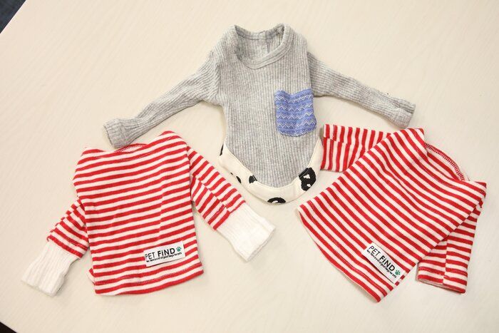 犬用の長袖服がなかったため、子ども服の袖をつけて改造(撮影/尾﨑たまき)