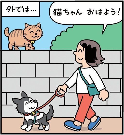 外猫にあいさつする犬の飼い主