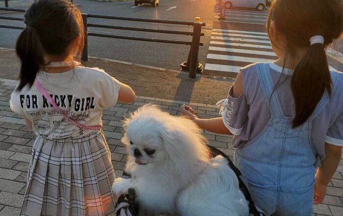 娘さんたちと出かけるぱんちゃん。