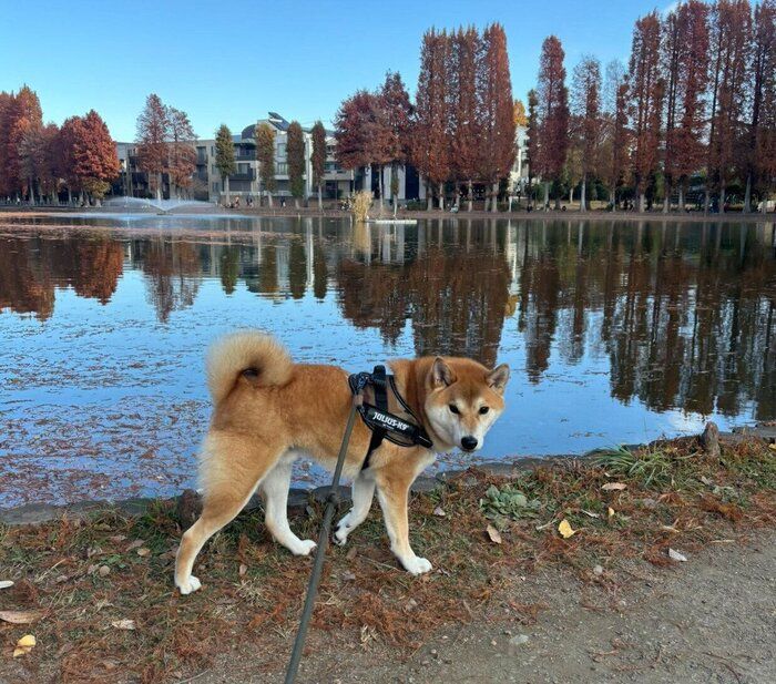 ���Ф����򤹤�쥪�󤯤�