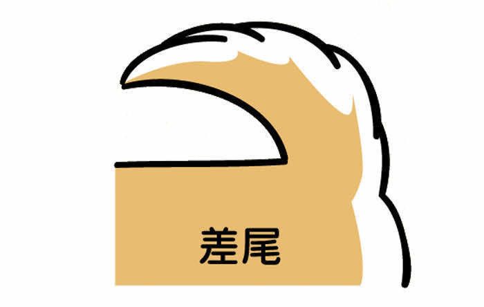 差尾