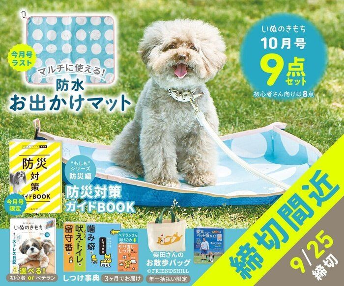 いぬのきもち(2020.3〜2022.2) いぬのきもち 2020年3月号｜株式会社シーオーツー