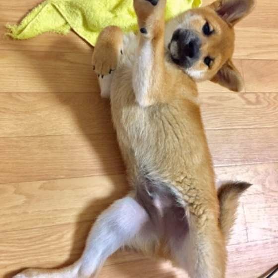 ねぇねぇ、もっと遊んで〜!