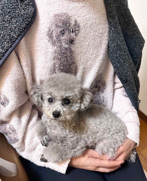 飼い主さんが「幽～体～離脱～」として投稿した写真