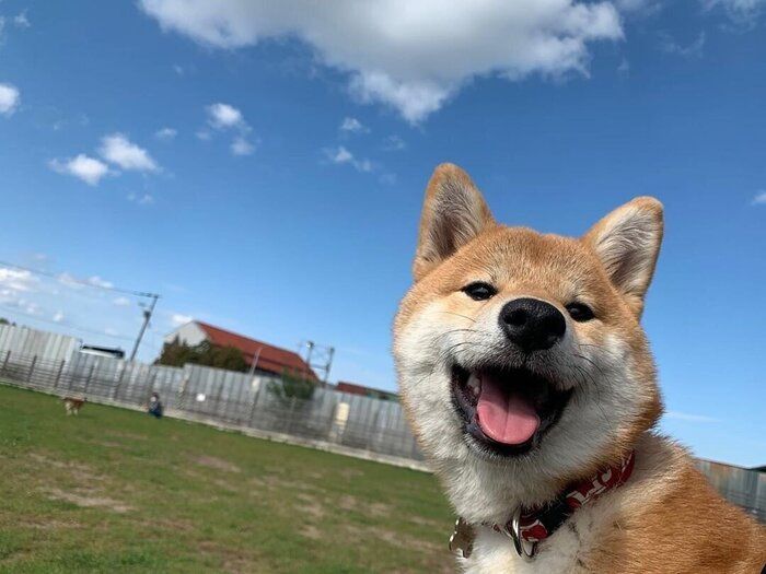 ハルちゃん