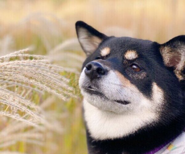 5r7pjjyhpk02pm 5r7pjjyhpk02pm