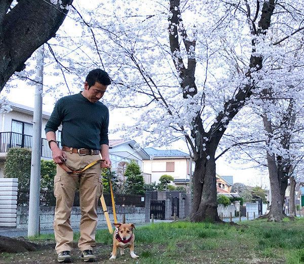 お散歩する犬
