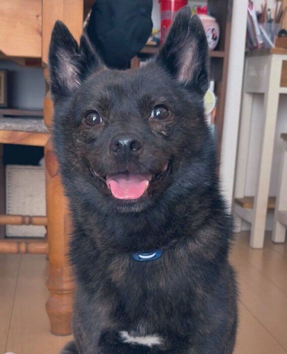 �˥��äȤ���ʡ�ݤ���