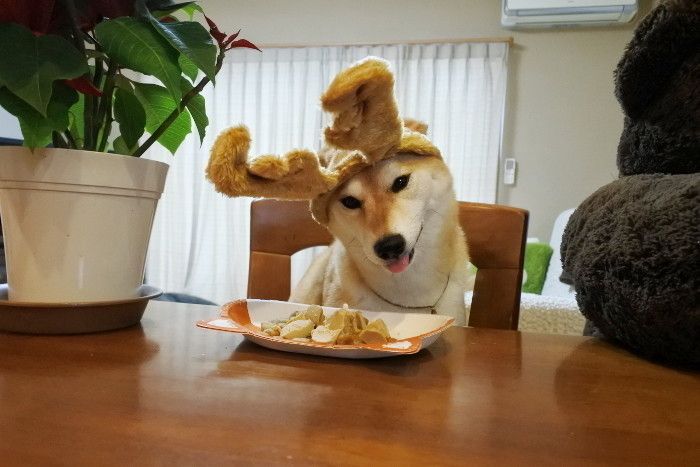 テヘペロ