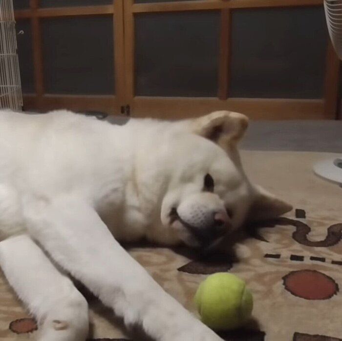 待っているゆうき君