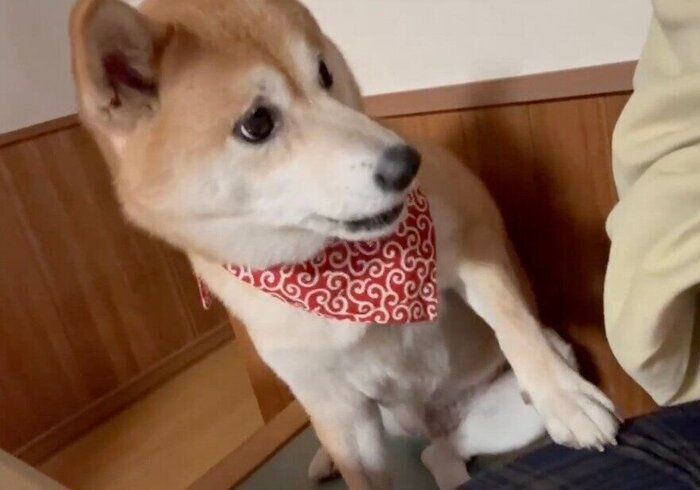 アピールするモナカちゃん