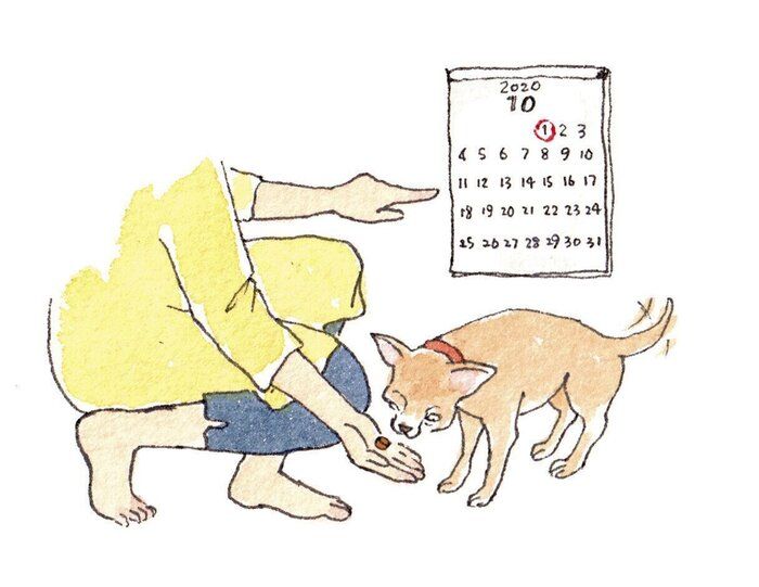 イラスト/フジマツミキ