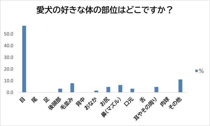 愛犬の好きな体の部位は？